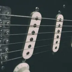 Dettaglio dei pickup di una Stratocaster, con le corde che passano sopra. L'altezza dei pickup è fondamentale per il suono.