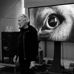 Roger Waters, con un'espressione divertita, osserva un primo piano di un occhio di lupo su uno schermo, forse ispirato da "amused to death".