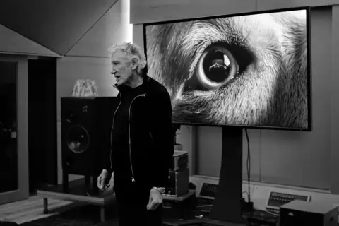 Roger Waters, con un'espressione divertita, osserva un primo piano di un occhio di lupo su uno schermo, forse ispirato da "amused to death".