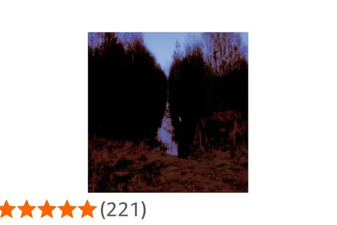 Sentiero oscuro tra alberi neri, evocativo di "Opeth My Arms Your Hearse".
