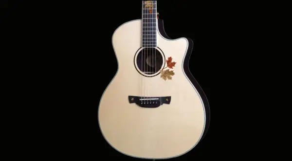 Chitarra acustica Crafter con decorazioni a foglie autunnali. Le opinioni su queste chitarre sono generalmente positive per qualità e suono.