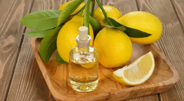 Un flacone di olio di limone chitarra, circondato da limoni freschi e foglie verdi, su un vassoio di legno.