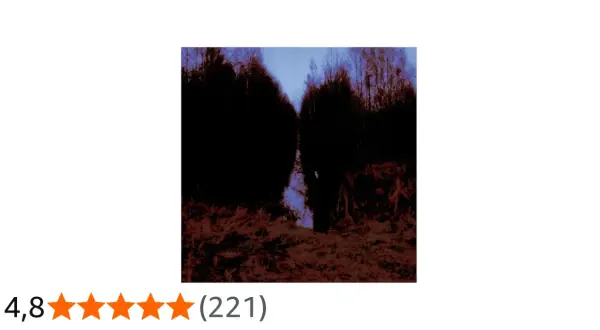Sentiero oscuro tra alberi neri, evocativo di "Opeth My Arms Your Hearse".