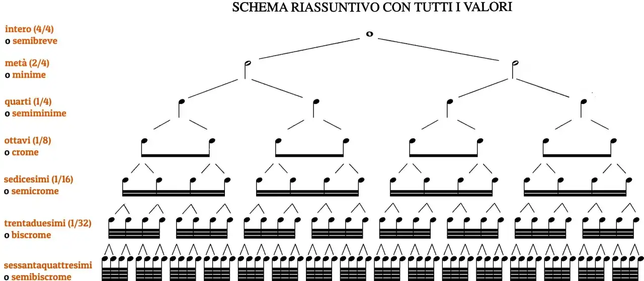 Schema che illustra il valore delle note musicali sul pentagramma, dalla semibreve alle semibiscrome, con le relative frazioni.