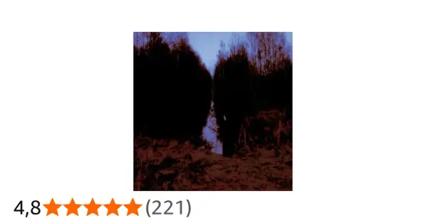 Sentiero oscuro tra alberi neri, evocativo di "Opeth My Arms Your Hearse".